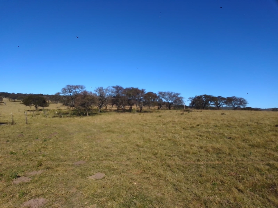 0 Bedroom Property for Sale in Stutterheim Rural Eastern Cape